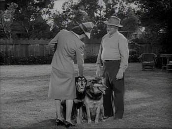 Screenshot 3 from Hollywood Scout (Full Movie)