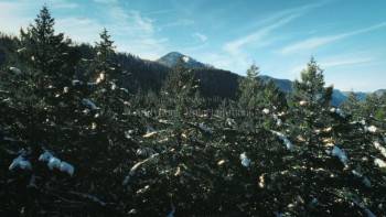Screenshot 2 from Home Sweet Christmas (Full Movie)