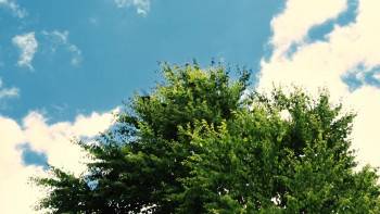 Screenshot 3 from Home: The House Imp (Full Movie)