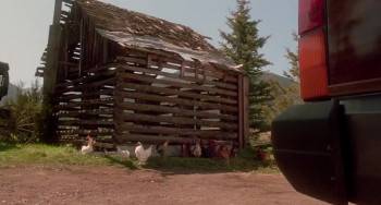 Screenshot 3 from Homeward Bound: The Incredible Journey (Full Movie)