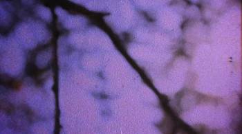 Screenshot 3 from Honor Killing (Full Movie)