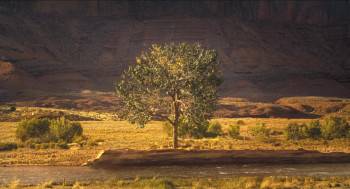 Screenshot 1 from Horizon: An American Saga - Chapter 1 (Full Movie)