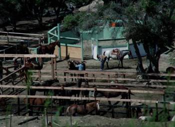 Screenshot 1 from Hot Spur (Full Movie)
