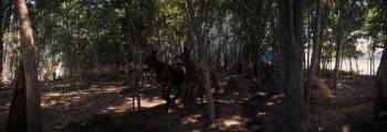 Screenshot 1 from How the West Was Won (Full Movie)
