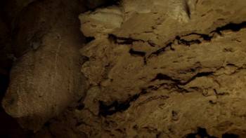 Screenshot 3 from Human Universe (Full Movie)