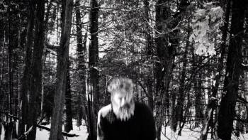 Screenshot 2 from Hundreds of Beavers (Full Movie)