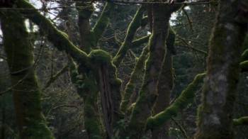 Screenshot 2 from Hype! (Full Movie)