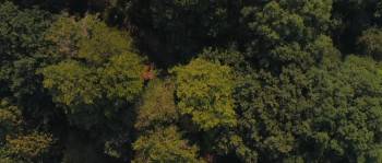 Screenshot 1 from I AM Norman (Full Movie)