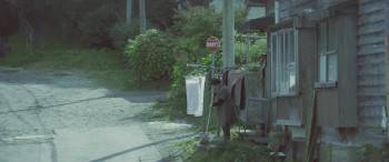 Screenshot 2 from If Cats Disappeared from the World (Full Movie)