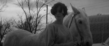 Screenshot 1 from In Cold Blood (Full Movie)