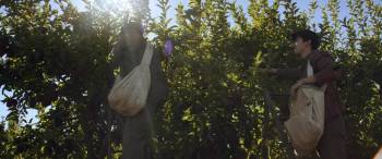 Screenshot 2 from In Dubious Battle (Full Movie)