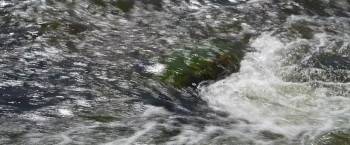 Screenshot 3 from Incandescence (Full Movie)