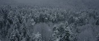 Screenshot 1 from Indian Horse (Full Movie)