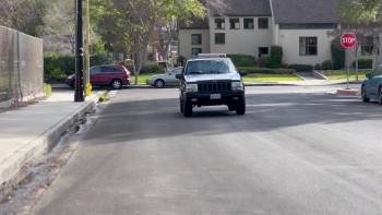 Screenshot 1 from Into the Park (Full Movie)