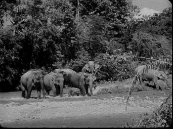 Screenshot 1 from Island of Lost Men (Full Movie)