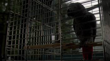 Screenshot 3 from It Waits (Full Movie)