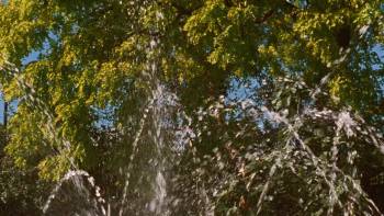 Screenshot 1 from I've Been Trying to Tell You (Full Movie)