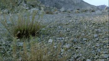 Screenshot 2 from Jabberwock (Full Movie)
