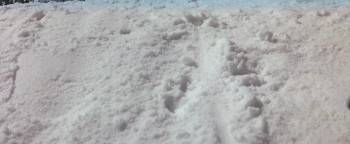 Screenshot 3 from Jack Frost (Full Movie)