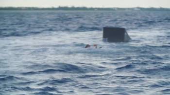 Screenshot 2 from Jackass Shark Week 2.0 (Full Movie)