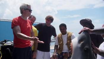 Screenshot 3 from Jackass Shark Week 2.0 (Full Movie)