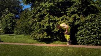 Screenshot 1 from Jalla! Jalla! (Full Movie)