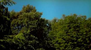 Screenshot 3 from Jalla! Jalla! (Full Movie)