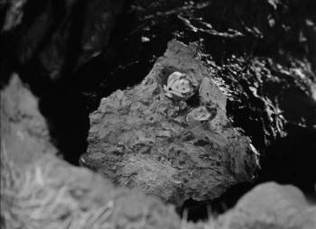 Screenshot 2 from Jamaica Inn (Full Movie)