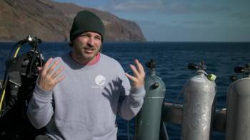 Screenshot 3 from Jaws vs Kraken (Full Movie)