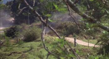 Screenshot 1 from Joey (Full Movie)