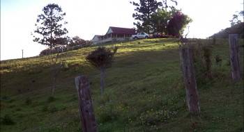 Screenshot 3 from Joey (Full Movie)