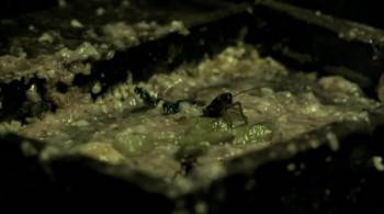 Screenshot 2 from Jom kha mung wej (Full Movie)