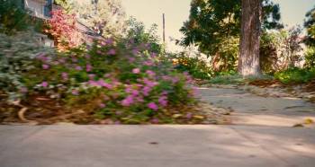 Screenshot 3 from Judy Moody and the Not Bummer Summer (Full Movie)