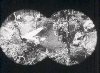 Screenshot 2 from Jungle Goddess (Full Movie)