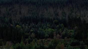 Screenshot 2 from Jurassic Triangle (Full Movie)