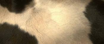 Screenshot 3 from Just Super (Full Movie)