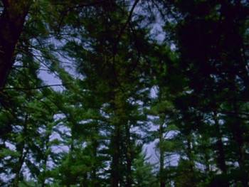 Screenshot 2 from Kanehsatake: 270 Years of Resistance (Full Movie)