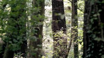 Screenshot 2 from Karaoglan (Full Movie)