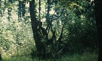 Screenshot 2 from Kes (Full Movie)