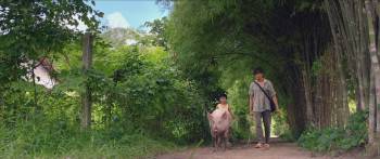 Screenshot 1 from Khi Con Là Nhà (Full Movie)