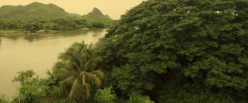 Screenshot 2 from Kickboxer: Vengeance (Full Movie)