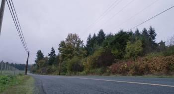 Screenshot 2 from Kill for Me (Full Movie)
