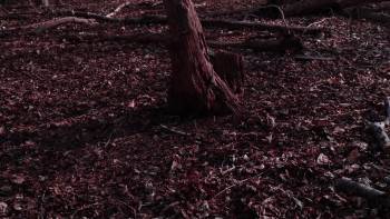 Screenshot 1 from King of Terrors (Full Movie)