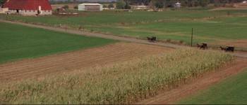 Screenshot 1 from Kingpin (Full Movie)