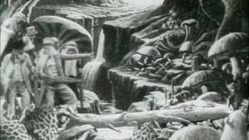 Screenshot 2 from Know Your Mushrooms (Full Movie)