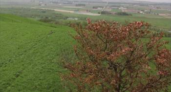 Screenshot 1 from Kogitsune Heren (Full Movie)