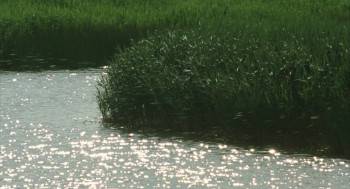 Screenshot 3 from Kogitsune Heren (Full Movie)