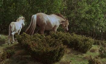 Screenshot 2 from Kristin Lavransdatter (Full Movie)