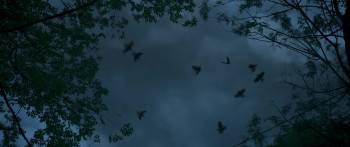 Screenshot 1 from Kromoleo (Full Movie)