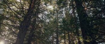 Screenshot 1 from Kryptic (Full Movie)